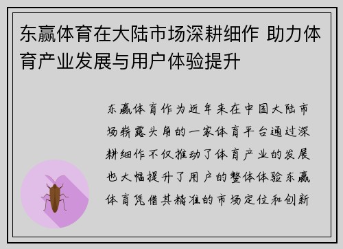东赢体育在大陆市场深耕细作 助力体育产业发展与用户体验提升